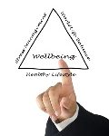 Wellbeing Triangle